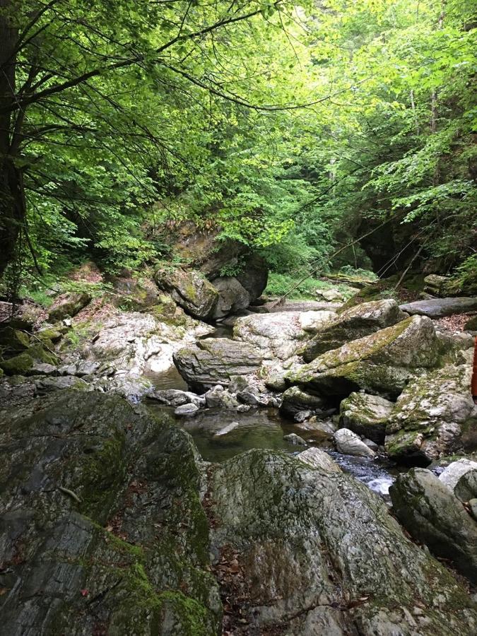 Ferienwohnung Raabklamm Arzberg Exteriör bild