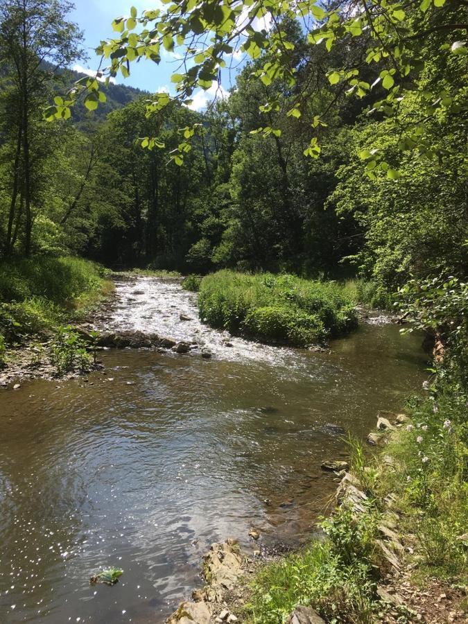 Ferienwohnung Raabklamm Arzberg Exteriör bild
